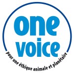 One Voice - Cosm’ethiques !!